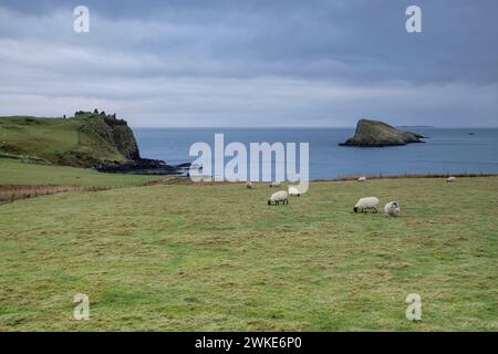 Duntulm, Skye, Highlands, Escocia, Reino ONUDI. Banque D'Images