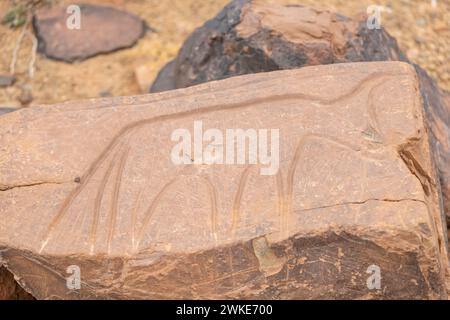 Petroglifo, yacimiento rupestre de Aït Ouazik, finales del Neolítico, Marruecos, Afrique. Banque D'Images