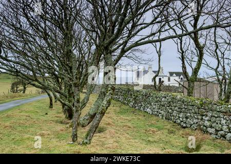 Duntulm, Skye, Highlands, Escocia, Reino ONUDI. Banque D'Images