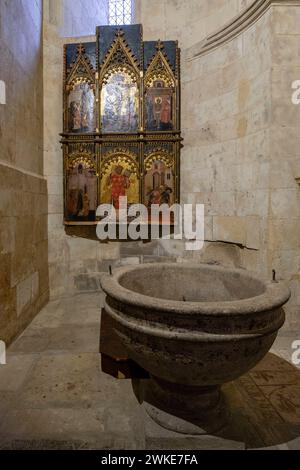 Catedral de la Asunción de la Virgen, Catedral Vieja, Salamanque, Comunidad Autónoma de Castilla y León, Espagne. Banque D'Images