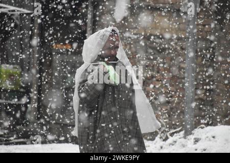 Srinagar, Inde. 20 février 2024. Un homme de Srinagar, au Cachemire, en Inde, improvise un imperméable en polytène pour se protéger des fortes chutes de neige le 20 février 2024. (Photo danoise Skowkat/Sipa USA) crédit : Sipa USA/Alamy Live News Banque D'Images