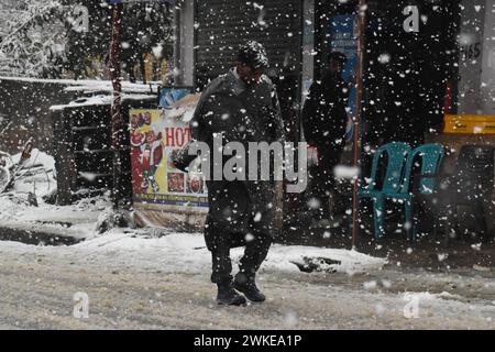Srinagar, Inde. 20 février 2024. Un homme marche au milieu des chutes de neige le 20 février 2024 dans la banlieue de Srinagar, au Cachemire, en Inde. (Photo de Danish Showkat/Sipa USA) crédit : Sipa USA/Alamy Live News Banque D'Images