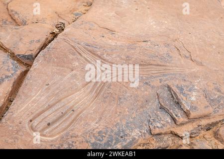 Petroglifo, yacimiento rupestre de Aït Ouazik, finales del Neolítico, Marruecos, Afrique. Banque D'Images