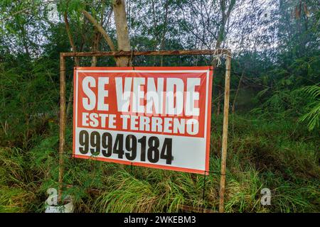 Merida Mexique, Xcumpich Calle 20A, bannière de signe, immobilier, signe d'information, promotion de la publicité de promotion, location-bail, location de loyer location, vente, re Banque D'Images