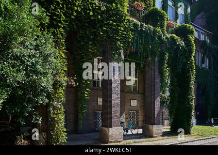 La façade de la Faculté de Szeged recouverte de lierre Banque D'Images