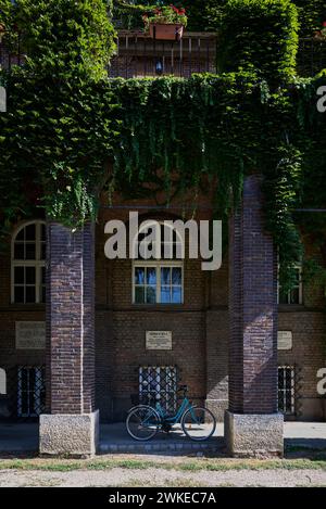 La façade de la Faculté de Szeged recouverte de lierre Banque D'Images