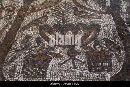 Mosaïque de sol de la Basilique de préparées Sophia à Sofia, Bulgarie. Il était situé dans l'abside du premier bâtiment ecclésiastique sur le site de la basilique. Premier quart du IVe siècle après JC. Représentation symbolique du Paradis chrétien. Deux cyprès des deux côtés, entrelacés avec des branches de vigne (rinceaux). Les colombes représentent les âmes des croyants. Fait de tesselles en pierre et en verre coloré selon les techniques opus vermiculatum et opus tesselatum. 2,70 x 2,60 M. détail. Musée archéologique national. Sofia. Bulgarie. Banque D'Images