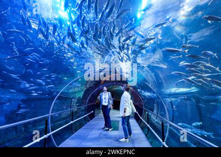 Touristes visitant l'Aquarium, Donostia, Saint-Sébastien, pays Basque, Espagne Banque D'Images