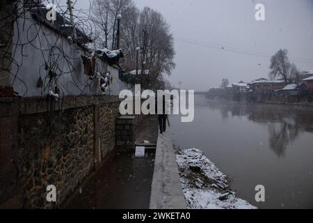 Srinagar, Jammu-et-Cachemire, Inde. 20 février 2024. Un homme utilise un parapluie tout en marchant le long du Jehlum Bund pendant une chute de neige à Srinagar. À la suite de chutes de neige importantes au cours des dernières 24 heures, le Cachemire a été confronté à des difficultés de transport car la plupart des autoroutes sortant de la vallée sont restées fermées. (Crédit image : © Adil Abbas/ZUMA Press Wire) USAGE ÉDITORIAL SEULEMENT! Non destiné à UN USAGE commercial ! Crédit : ZUMA Press, Inc/Alamy Live News Banque D'Images