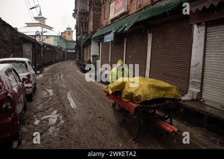 Srinagar, Jammu-et-Cachemire, Inde. 20 février 2024. Un homme pousse sa charrette pendant une chute de neige à Srinagar. À la suite de chutes de neige importantes au cours des dernières 24 heures, le Cachemire a été confronté à des difficultés de transport car la plupart des autoroutes sortant de la vallée sont restées fermées. (Crédit image : © Adil Abbas/ZUMA Press Wire) USAGE ÉDITORIAL SEULEMENT! Non destiné à UN USAGE commercial ! Crédit : ZUMA Press, Inc/Alamy Live News Banque D'Images