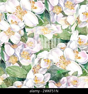 modèle sans couture avec des fleurs blanches de jasmin, aquarelle sur papier, toile de fond textile Banque D'Images