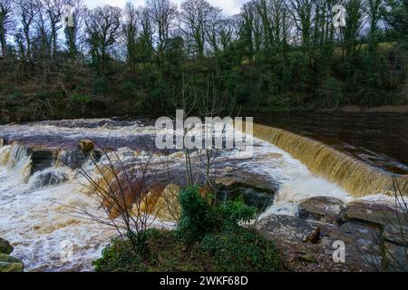 Eau déchaînée à Richmond Falls, North Yorkshire Banque D'Images