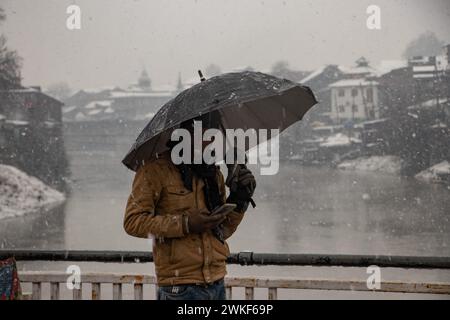 Srinagar, Jammu-et-Cachemire, Inde. 20 février 2024. Un travailleur non local utilise un parapluie en marchant pendant une chute de neige à Srinagar. À la suite de chutes de neige importantes au cours des dernières 24 heures, le Cachemire a été confronté à des difficultés de transport car la plupart des autoroutes sortant de la vallée sont restées fermées. (Crédit image : © Adil Abbas/ZUMA Press Wire) USAGE ÉDITORIAL SEULEMENT! Non destiné à UN USAGE commercial ! Banque D'Images