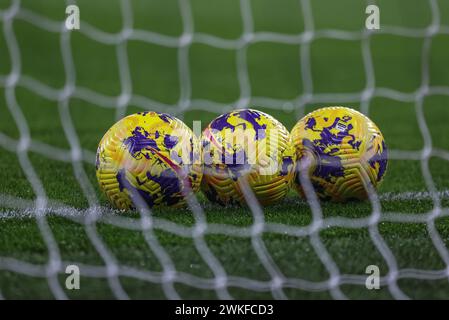 Manchester, Royaume-Uni. 20 février 2024. Les Nike Flight Balls se sont alignés derrière les filets lors du match de premier League Manchester City vs Brentford à l'Etihad Stadium, Manchester, Royaume-Uni, le 20 février 2024 (photo Mark Cosgrove/News images) à Manchester, Royaume-Uni, le 20/02/2024. (Photo de Mark Cosgrove/News images/SIPA USA) crédit : SIPA USA/Alamy Live News Banque D'Images