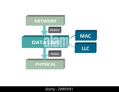Sous-couches de liaison de données, modèle OSI, vecteur Illustration de Vecteur