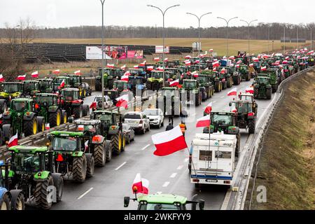 Les agriculteurs polonais avec leurs tracteurs et leurs véhicules bloquent la voie express S3 pendant la manifestation. Les agriculteurs polonais organisent des manifestations contre les céréales ukrainiennes bon marché qui inondent le marché et contre les réglementations de l'UE sur l'utilisation des pesticides et des engrais. Les tracteurs arborant des drapeaux polonais bloquent les autoroutes et les principaux carrefours dans près de 200 sites en Pologne. Crédit : SOPA images Limited/Alamy Live News Banque D'Images