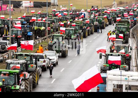 Les agriculteurs polonais avec leurs tracteurs et leurs véhicules bloquent la voie express S3 pendant la manifestation. Les agriculteurs polonais organisent des manifestations contre les céréales ukrainiennes bon marché qui inondent le marché et contre les réglementations de l'UE sur l'utilisation des pesticides et des engrais. Les tracteurs arborant des drapeaux polonais bloquent les autoroutes et les principaux carrefours dans près de 200 sites en Pologne. Crédit : SOPA images Limited/Alamy Live News Banque D'Images