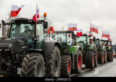 Les agriculteurs polonais avec leurs tracteurs et leurs véhicules bloquent la voie express S3 pendant la manifestation. Les agriculteurs polonais organisent des manifestations contre les céréales ukrainiennes bon marché qui inondent le marché et contre les réglementations de l'UE sur l'utilisation des pesticides et des engrais. Les tracteurs arborant des drapeaux polonais bloquent les autoroutes et les principaux carrefours dans près de 200 sites en Pologne. Crédit : SOPA images Limited/Alamy Live News Banque D'Images