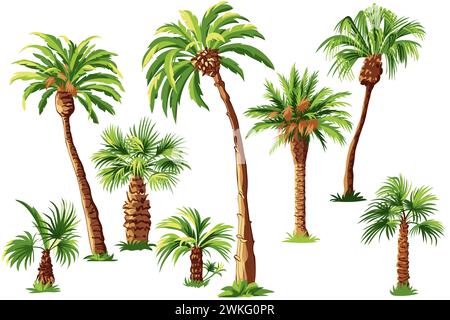 Ensemble de palmiers de dessins animés isolés sur fond blanc Illustration de Vecteur