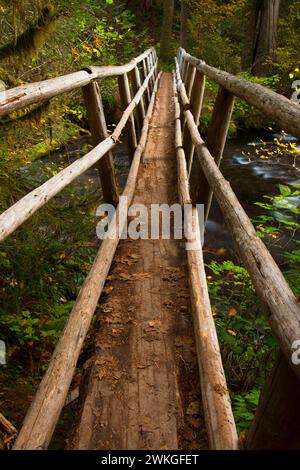 Perdu le long du pont du ruisseau McKenzie River National Recreation Trail, McKenzie Wild and Scenic River, forêt nationale de Willamette, Oregon Banque D'Images