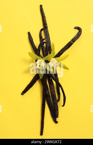 Gousses de vanille et belles fleurs sur fond jaune, vue de dessus Banque D'Images