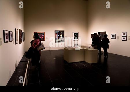 New York, États-Unis. 20 février 2024. Les visiteurs ont vu l'avant-première de la Harlem Renaissance Exhibition au Metropolitan Museum de New York le 20 février 2024. L'exposition présente le premier mouvement afro-américain d'art moderne international atteignant l'autre côté de l'Atlantique et influençant certains artistes célèbres tels que Munch, Picasso et Matisse. (Photo de Lev Radin/Sipa USA) crédit : Sipa USA/Alamy Live News Banque D'Images