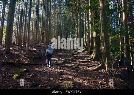 Trekking à travers les forêts profondes de la route de pèlerinage de Kumano Kodo, Wakayama, Japon Banque D'Images