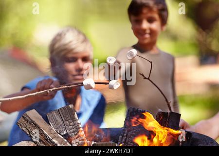 Feu, guimauve et garçons enfants dans la nature pour le camping, l'apprentissage ou le mariage amusant dans un parc ensemble. Feu de joie, famille ou enfants dans une forêt pour les bonbons Banque D'Images