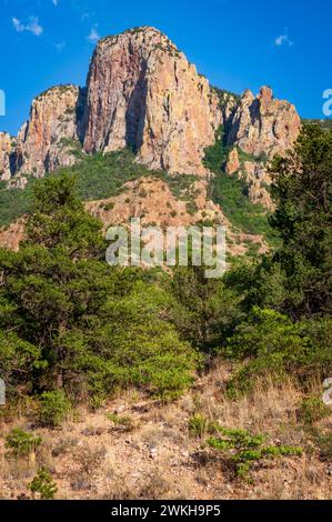 Une tour rocheuse rose et beige des montagnes Chisos s'élève au-dessus des pins et des herbes sèches au premier plan dans le parc national de Big Bend, au Texas. Banque D'Images