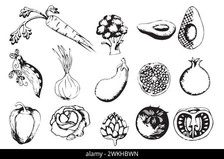 Ensemble de légumes monochromes dessinés à la main. Graphiques. Illustration vectorielle isolée sur fond blanc. Illustration de Vecteur