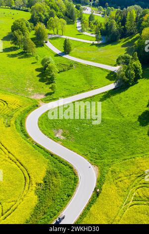 Luftbild der kurvenreichen Serpentinenstraße zwischen blühenden Rapsfeldern von Reifland nach Rauenstein, Pockau-Lengefeld, Erzgebirge, Saxe, Deuts Banque D'Images