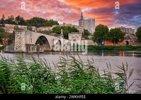 Centre historique du Palais des Papes, complexe épiscopal et le Pont Saint Benezet, le Rhône, Avignon, Vaucluse, Provence-Alpes-Côte d'Azur, Fran Banque D'Images