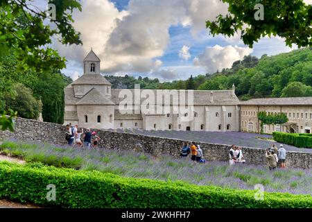 Abbaye notre-Dame de Sénanque, Gordes, Vaucluse, Provence-Alpes-Côte d’Azur, France, Europe Banque D'Images