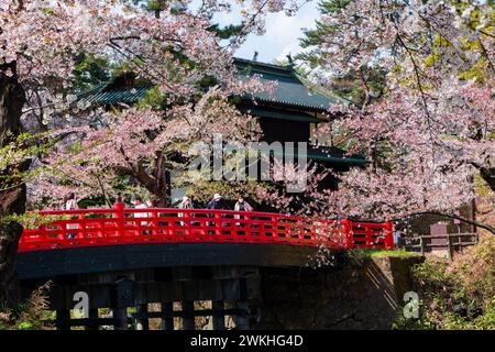 HIROSAKI, JAPON - 18 AVRIL 2023 : touristes sur un pont rouge traditionnel entouré par la belle Sakura (fleurs de cerisier) au château de Hirosaki, Aomori, Japa Banque D'Images