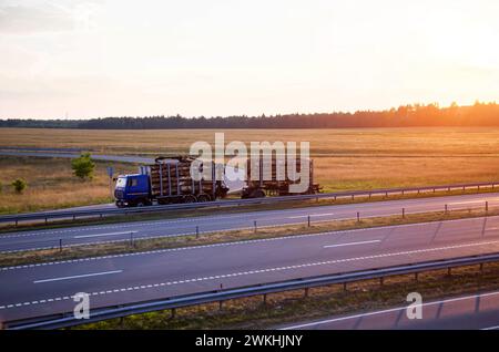 Un camion forestier bleu transporte des rondins de pin sur fond de coucher de soleil dans la soirée. Concept d'importation et d'exportation de bois. Journalisation en tant qu'entreprise. Banque D'Images