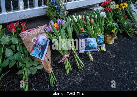 Copenhague, 21 février 2024 fleurs devant l'ambassade de russie en mémoire d'Aleksej Navalnyj Banque D'Images