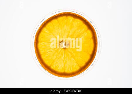 Tranche d'une orange isolée sur fond blanc rétro-éclairé. Concept de fruit. Banque D'Images
