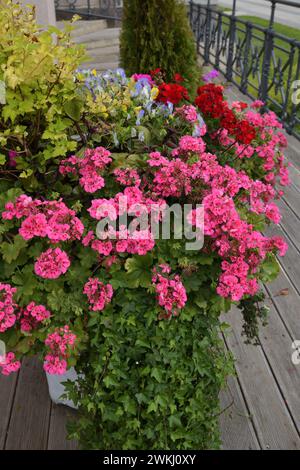 Fleurs dans un vase près de la maison Banque D'Images