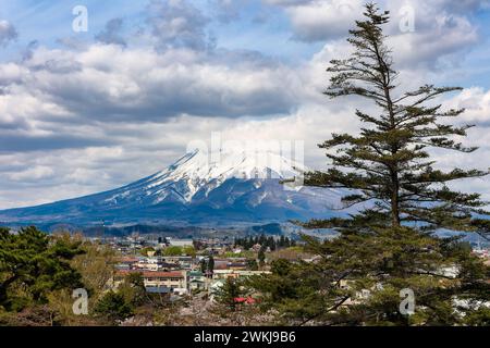 Volcan enneigé avec Sakura au premier plan au printemps. Banque D'Images