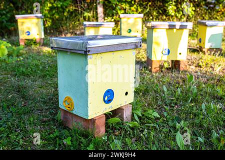 doté de ruches de noyau pour élever de jeunes colonies d'abeilles, journée d'été ensoleillée dans le jardin. Ruches dans le jardin d'une maison de campagne. Développement et rep Banque D'Images