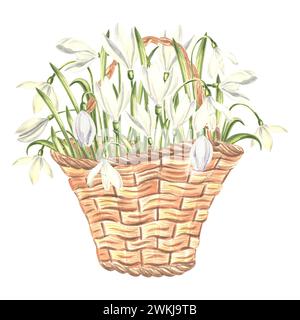 Bouquet printanier de gouttes de neige blanches dans un panier en osier vintage. Illustration aquarelle de fleurs. Bouquet floral isolé dessiné à la main. Dessin botanique Banque D'Images
