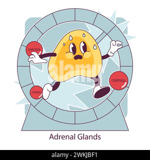 Organe du système endocrinien. La fonction des glandes humaines. Glande surrénale. Sécrétion et équilibre des hormones humaines. La régulation du système nerveux. Illustration vectorielle plate Illustration de Vecteur