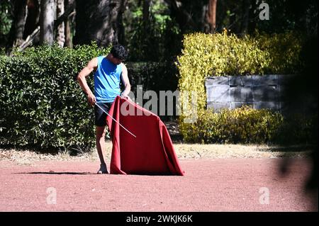 Homme pratiquant la tauromachie à Viveros Park, Coyoacan, Mexico Banque D'Images