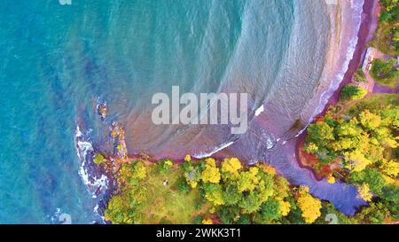 Vue aérienne de haut en bas du littoral de la forêt d'automne et de la plage du lac supérieur Banque D'Images