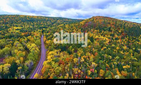 Route aérienne de la forêt d'automne dans le Michigan Banque D'Images