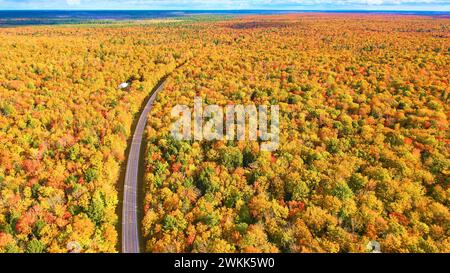 Canopée aérienne de forêt d'automne avec route sinueuse et structure solitaire Banque D'Images