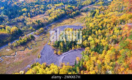 Tapisserie d'automne aérienne dans la forêt du Michigan avec Winding River Banque D'Images