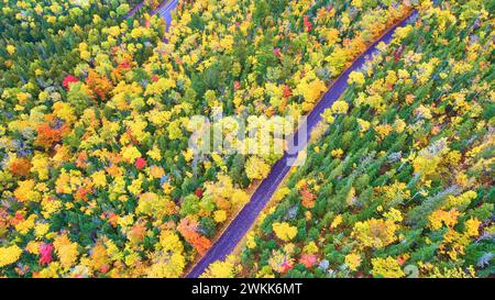 Vue aérienne de haut en bas de la forêt d'automne avec route sinueuse dans le Michigan Banque D'Images