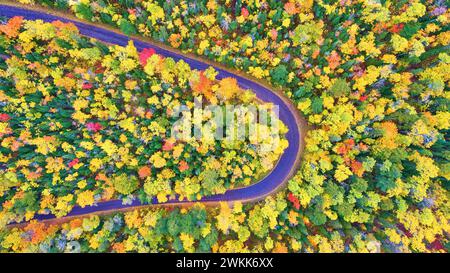 Vue aérienne de haut en bas de la route forestière d'automne à 180 degrés dans le Michigan Banque D'Images