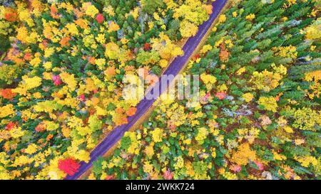 Palette aérienne de forêt d'automne avec route sinueuse dans le Michigan vue de dessus en bas Banque D'Images